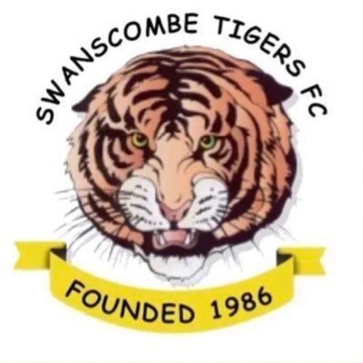 Swanscombe Tigers FC Mens 1st Team, @Medway&Rochester.                         Divsion 3 Champions 🏆🐯 https://t.co/iwCq8AfCoF#