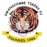 STFC_1st_team's profile picture. Swanscombe Tigers FC Mens 1st Team, @Medway&Rochester. Divsion 3 Champions 🏆🐯 https://t.co/iwCq8AfCoF#