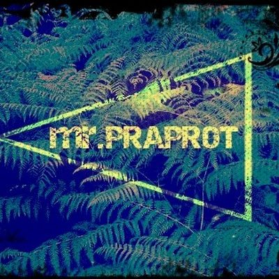 MrPraprot's profile picture. 