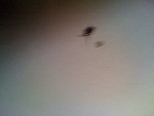 buritodelicious's profile picture. 