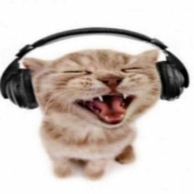 ross/noraさんのプロフィール画像