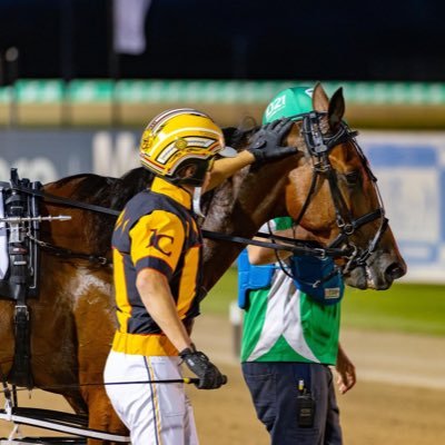 Sydney based Harness Racing Driver