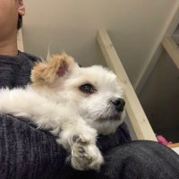 ゴミ拾い日記 (@1e4vih1piyr8h9q) 's Twitter Profile