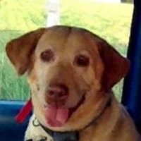 Ty (@ty_pls) 's Twitter Profile