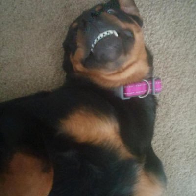 JeffreyHinkle15's profile picture. 