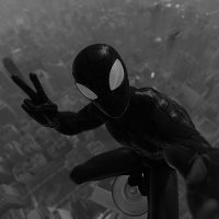 spidey (@boynamedspidey) 's Twitter Profile