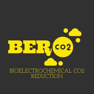 This project has been received funding from the Europian Union's H2020 under Marie Sklodowska Curie Action