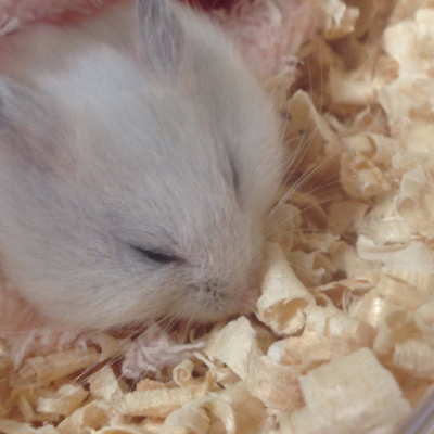 HM59199428's profile picture. 投資とアフィリエイト勉強中📚