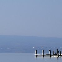 f (@fr7a___) Twitter profile photo