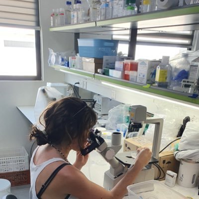 PhD Student working on the life cycle of Radiolaria with single-cell transcriptomics approaches at the Roscoff Marine Station 🌊⛴️🎣🌟🧬 @phytopk