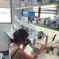 Iris Rizos (@iris_rizos) 's Twitter Profile Photo Iris Rizos (@iris_rizos) 's Twitter Profile Photo