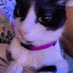 debarda (@de_bsss) Twitter profile photo debarda (@de_bsss) Twitter profile photo