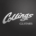 Collings Guitars (@collingsguitars) Twitter profile photo