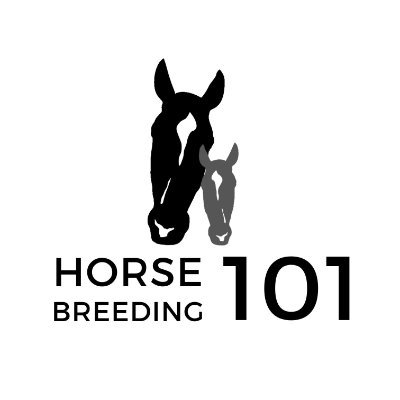 There are many factors to consider when breeding horses. We will help break it down, share helpful information, and even share our favorite products!