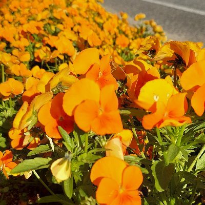 tongue_traning's profile picture. 自分が気持ちよくなるよりも
相手に気持ちよくなってもらうほう大事
パートナーの極限的絶頂を
どこまでも追求したい