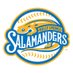 Holly Springs Salamanders (@hssalamanders) Twitter profile photo Holly Springs Salamanders (@hssalamanders) Twitter profile photo