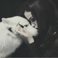 martinpereztw (@martinpereztw) 's Twitter Profile