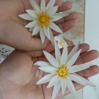 Wonders of Nature (@happieeworld) 's Twitter Profile