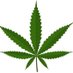 ๐ใใชใใช๐ใพใใใผใช๐ (@wanawana420) Twitter profile photo ๐ใใชใใช๐ใพใใใผใช๐ (@wanawana420) Twitter profile photo