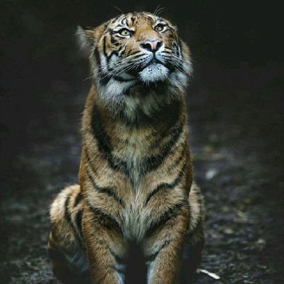 @EarnMax5