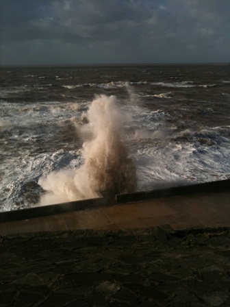 TMyerscough's profile picture. "In an England cricket eleven, the flesh may be of the South, but the bone is of the North. And the backbone is Yorkshire." #YCCC