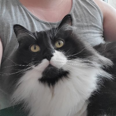 deadlikeacandle's profile picture. 