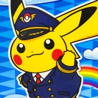 ✈️ニヤン👨‍✈️Pilot訓練中(@FlyHigh_A320) 's Twitter Profile Photo