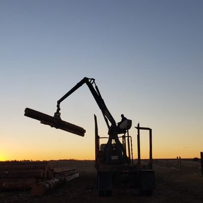 TJSawye37244947's profile picture. 