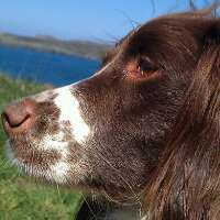 Heard_Andy's profile picture. 