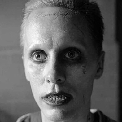 CKYaZuu's profile picture. 