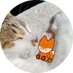 🐱🤍준 _ ゆんじ 윤지🌰🦊💞 (@sgbdjk) Twitter profile photo 🐱🤍준 _ ゆんじ 윤지🌰🦊💞 (@sgbdjk) Twitter profile photo