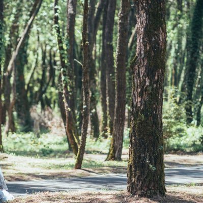 mb_omn3's profile picture. 20代👫/1人目妊活3年初の🧚🏻‍♀️→8w稽留流産→術後2ヶ月無排卵/実らない不妊治療→転院し難ありでしたが無事出産/❤️は共感と応援の気持ち /旦那は治療に非協力的 /義嫌い/2人目妊活にあたり情報集めしています→豆腐メンタルで低浮上気味