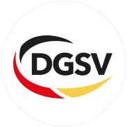 DGSV(@DG_SV) 's Twitter Profile Photo