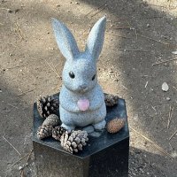 梅 (@0625kyonkyon) 's Twitter Profile