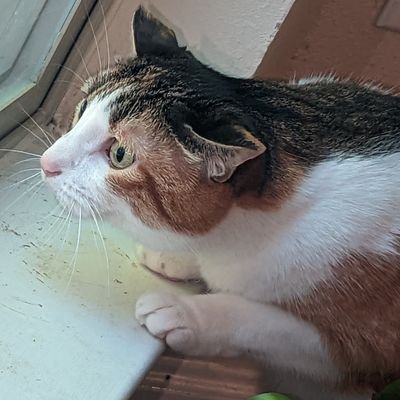 contextfree_'s profile picture. 