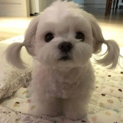 Lala_C1111's profile picture. 