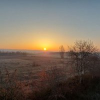 Delphine Ledoux (@delphine_ledoux) 's Twitter Profile