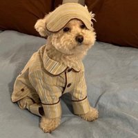 Miloooo🐰 (@mt_milooo) 's Twitter Profile