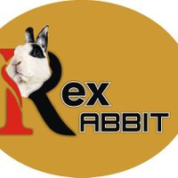 Rex Rabbit(@RexRabbitRBT) 's Twitter Profile Photo