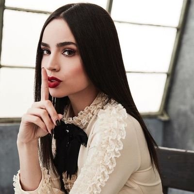 //not sofia carson//muse is Lesbian// Writer is 33// Account Under Co.//writer tag: #CrimsonWolf