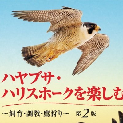 『ハヤブサ・ハリスホークを楽しむ本 ～飼育・調教・鷹狩り』
 猛禽類の飼育・調教をわかりやすく解説します。
A4総カラー172ページ。2022年6月第二版発売。

#猛禽類 #ハリスホーク #ハヤブサ #ハヤブサハリスホークを楽しむ本 #booth_pm