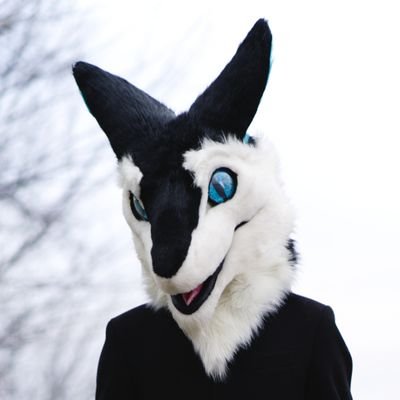 Furry | Fursuiter | Sergal 🧀 | 🏳️‍🌈 | 18yo |🇨🇿🇬🇧 • Aviation and Planes ✈ • Gamer 🎮 • Music enjoyer 🤍 Occasionally lewd sergal with blue ears :P