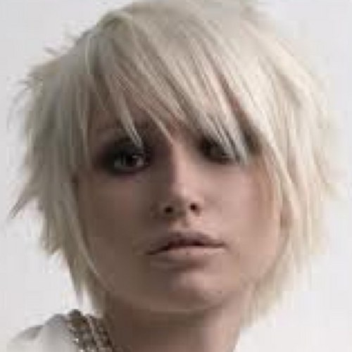 hollywood_not's profile picture. Roaming the sands of 2019.