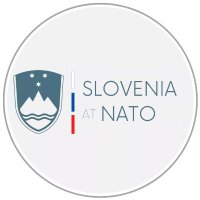 Slovenia at NATO(@SloveniaNATO) 's Twitter Profile Photo