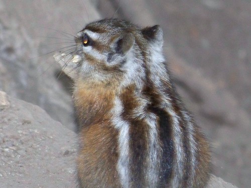 self02's profile picture. 