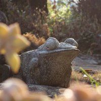 たくや (@wuyang_teke) Twitter profile photo