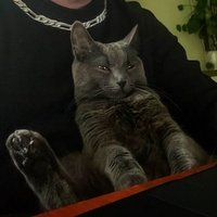 Yevhen Haievyi 🇺🇦 (@soa_432) 's Twitter Profile Photo