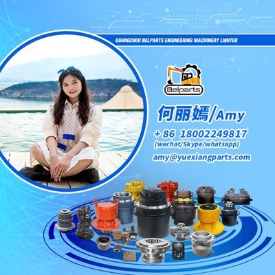 Sales manager from Guangzhou Belparts engineering machinery limited: excavator parts supplier