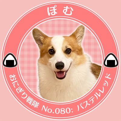 ぽむ(2021.3.1生まれ) 2021.12🏠♡ ソファーが定位置小柄コーギー アラサー夫婦+🐶 副業興味ないです🙇♀️田舎暮らしコーギー