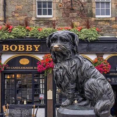 Muhamma49727456's profile picture. My name is Muhammad Talha. I'm from Pakistan. I'm a graphic designer and digital artist. I have been working in this field for 5 years.